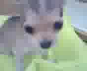 ������