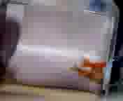 �����Y�����