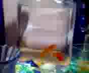 �����Y�����