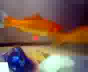 �ۂ���c
