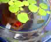 ���u���u�H