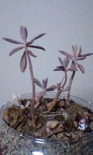 �s����