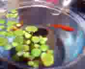 �ۂ�����