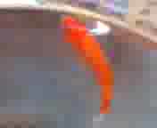 �ۂ�����