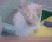 �ɂ��