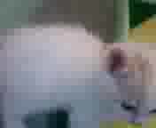 �ɂ��