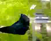 �x�^�����
