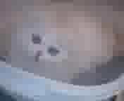 �ɂ��