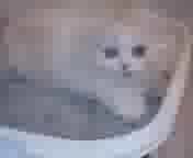 �ɂ��