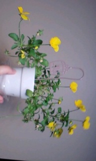 �r�I������