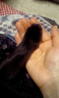 (untitled)